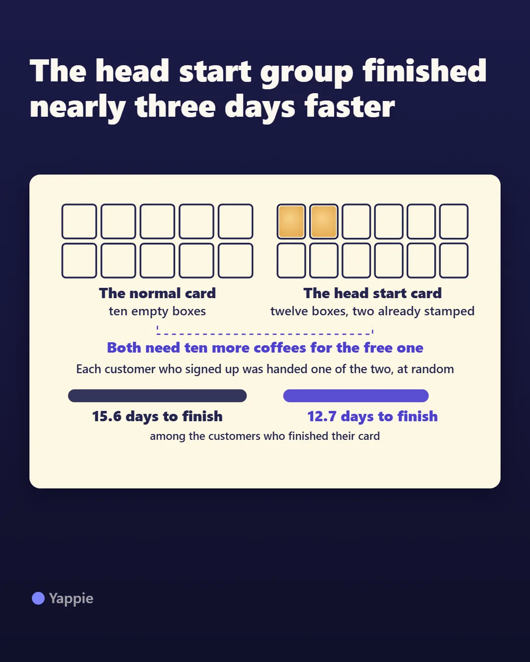The infographic of the study setup in a glance.