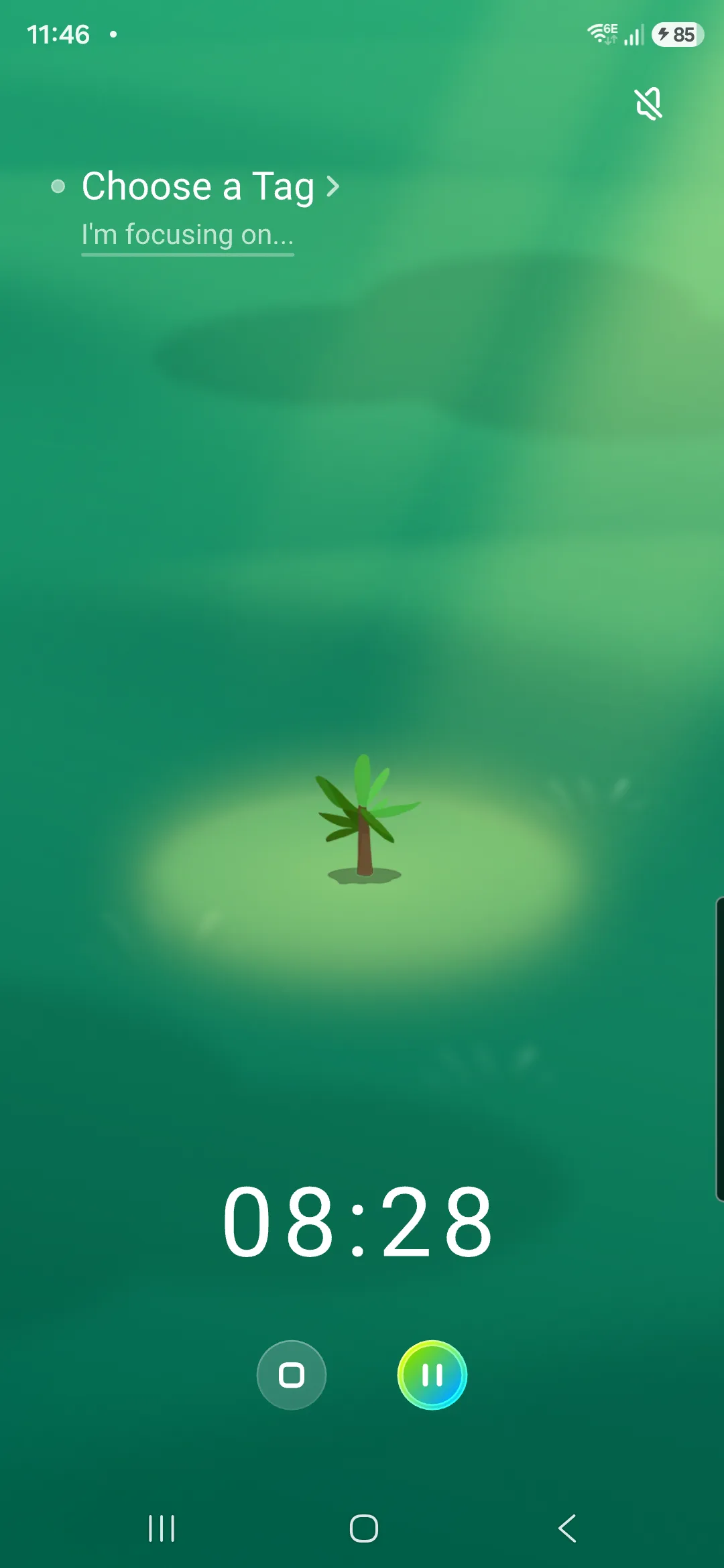 Forest's focus session in progress: a sapling growing in the middle of the screen with 8 minutes 28 seconds remaining on the timer